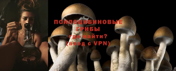 амф Армянск