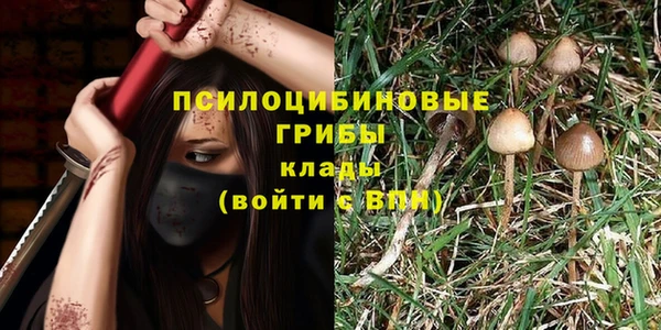 гидра Семёнов
