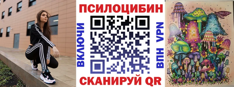 купить   Болгар  Галлюциногенные грибы MAGIC MUSHROOMS 